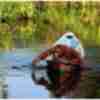 Funny picture about monkey