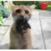 Funny picture about cat
